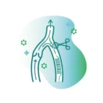 Angiologia